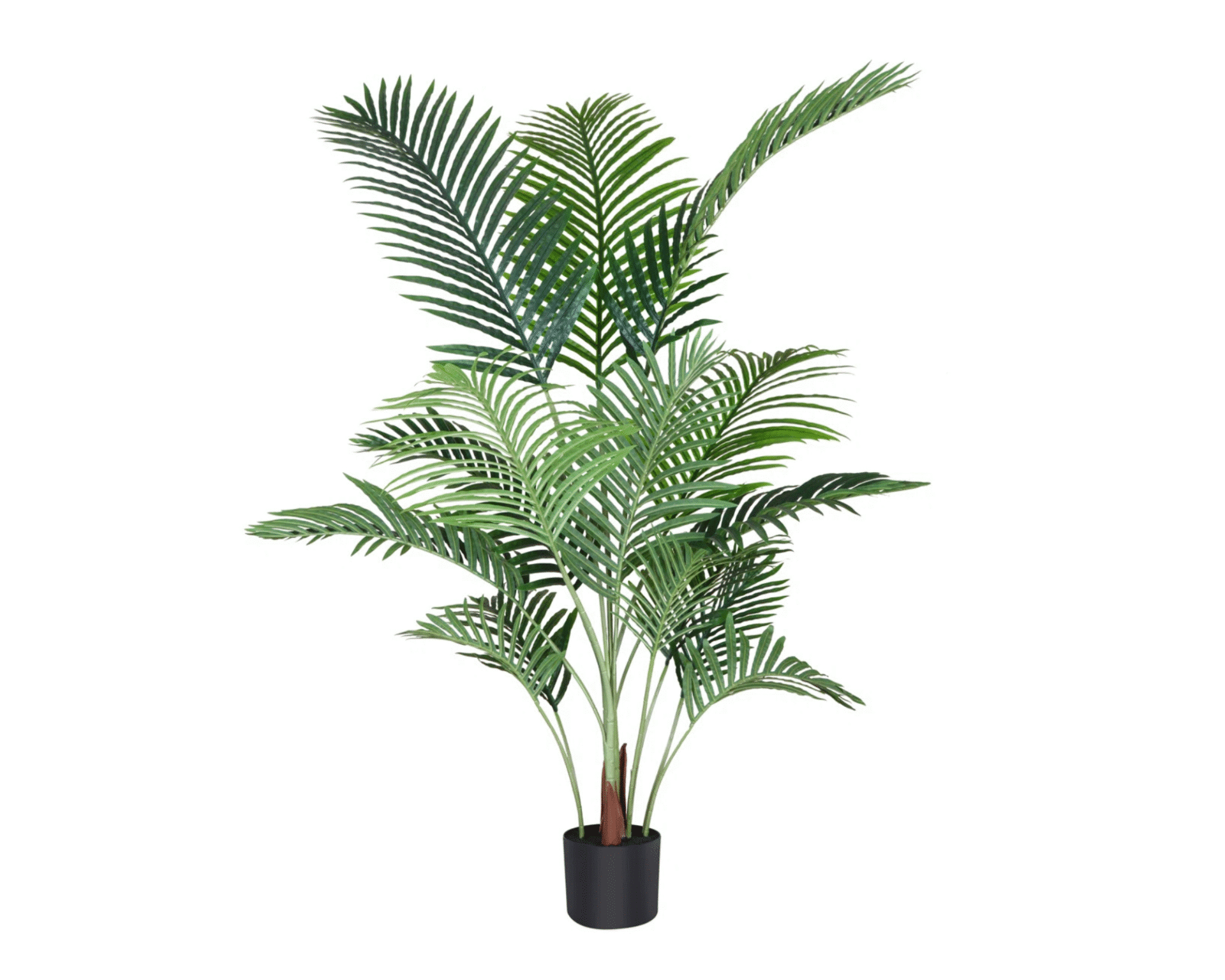 Palm 53 Adcock